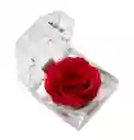 Mini Rosa Eterna En Cofre Porta Anillos – Detalle Encantador