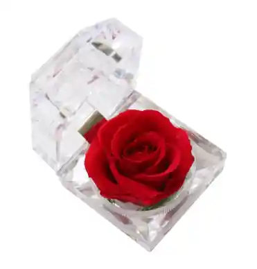 Mini Rosa Eterna En Cofre Porta Anillos – Detalle Encantador