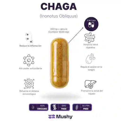 Combo #4 – Enfoque Mental (fatiga Mental / Tdah Leve / Baja Concentración)
