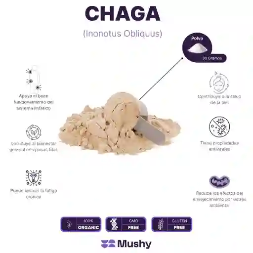 Chaga Puro 100% (polvo 30 Gramos)