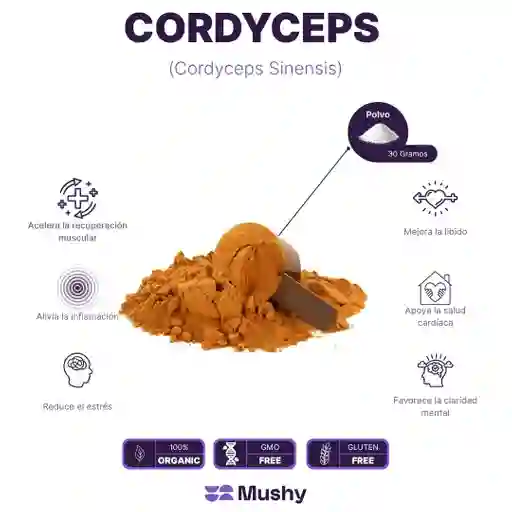 Cordyceps Puro 100% (polvo 30 Gramos)