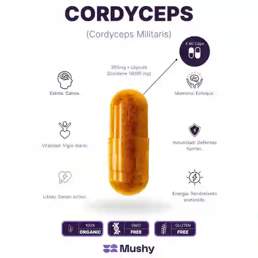 Cordyceps Puro 100% (x60 Capsulas)