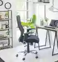 Silla Zenoffice Capricornio