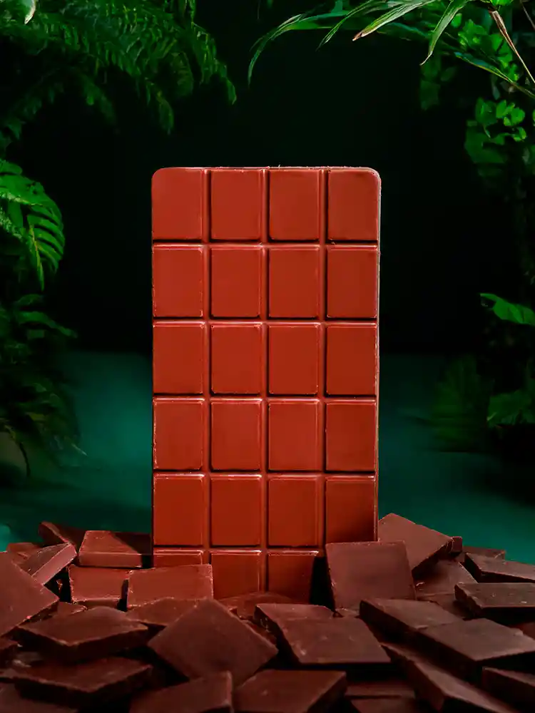 Sierra Selecta 65% - Barra De Chocolate Fino Magno