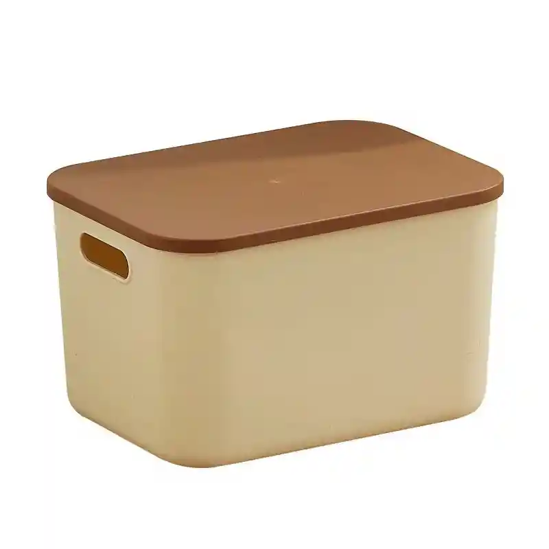 Almacenados Organizador Plástico Con Tapa