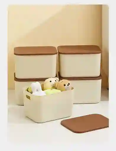 Almacenados Organizador Plástico Con Tapa