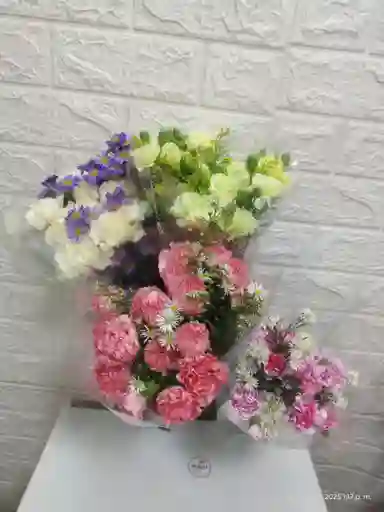 Flores De Claveles Y Clavellinas Con Follaje Por Paquete Colores Pasteles