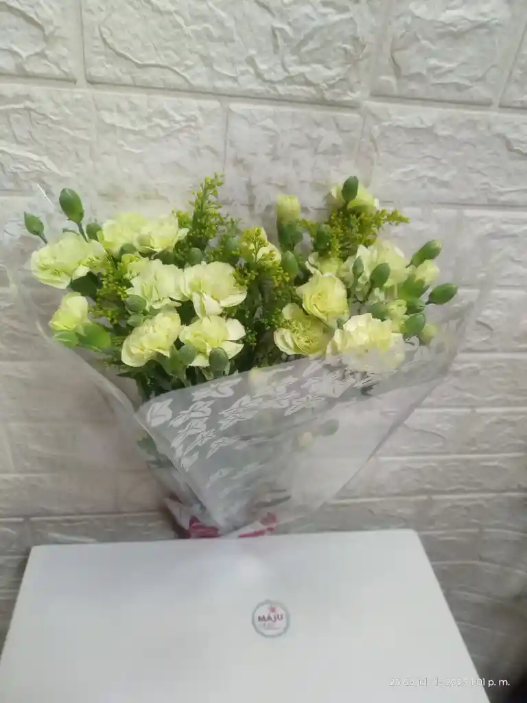 Flores De Claveles Y Clavellinas Con Follaje Por Paquete Colores Pasteles