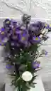 Follaje Aster Morado Por 7 Varas