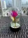 Rosa Eterna En Domo De Vidrio Con Luz Led – Encanto Atemporal