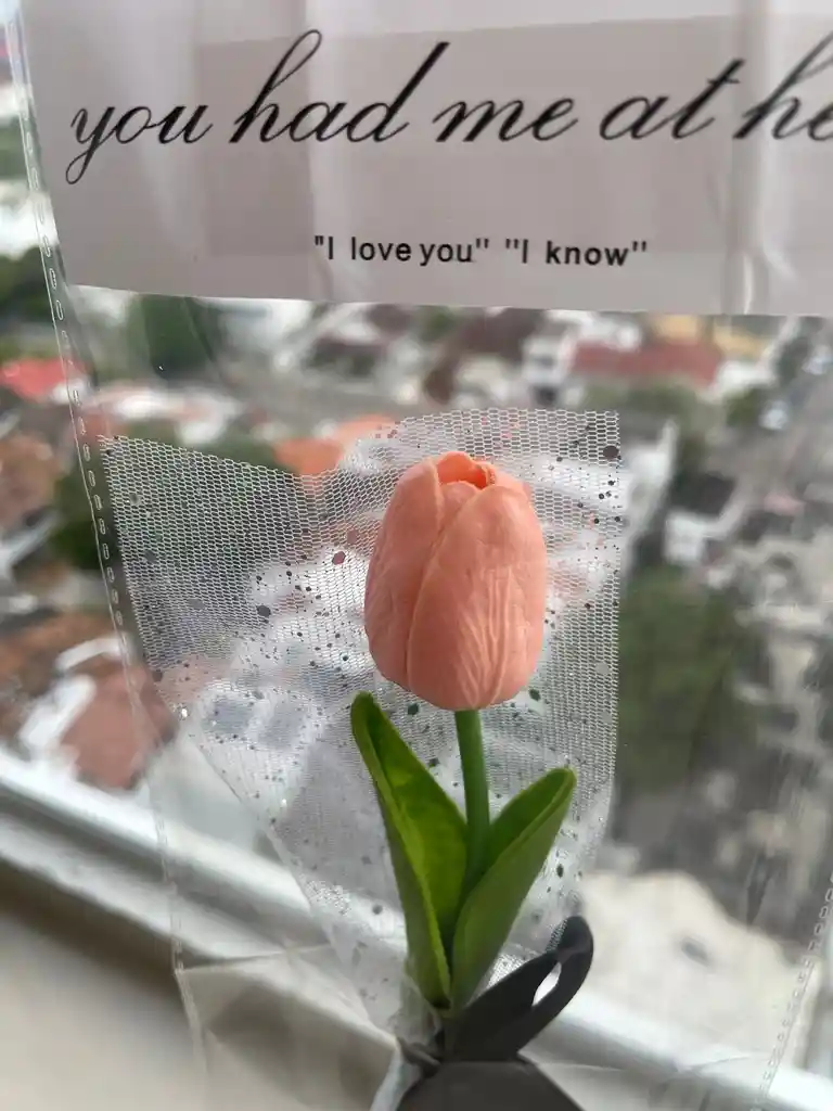 Tulipán En Bolsa Transparente – Detalle Sencillo Y Elegante