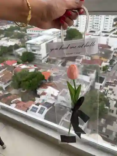 Tulipán En Bolsa Transparente – Detalle Sencillo Y Elegante