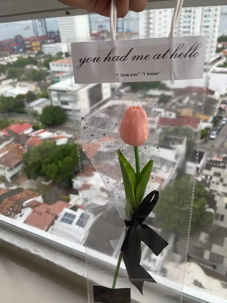 Tulipán En Bolsa Transparente – Detalle Sencillo Y Elegante