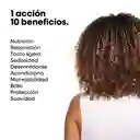Aceite 10 En 1 Absolut Repair Cabello Dañado 30ml – Travel Size