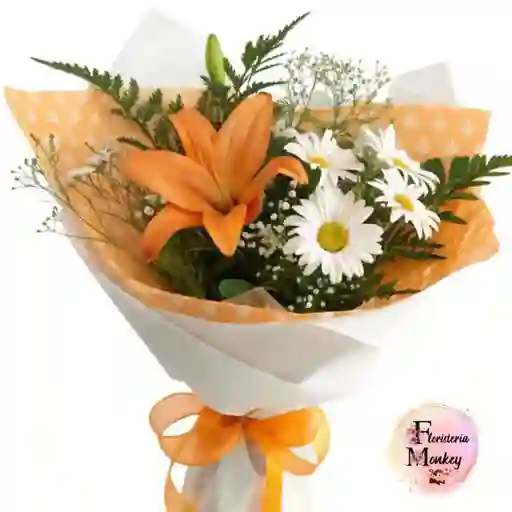 Blanco Y Naranja Alegre