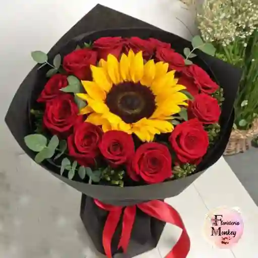 Sol