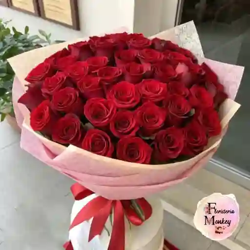 Rosa Roja X48