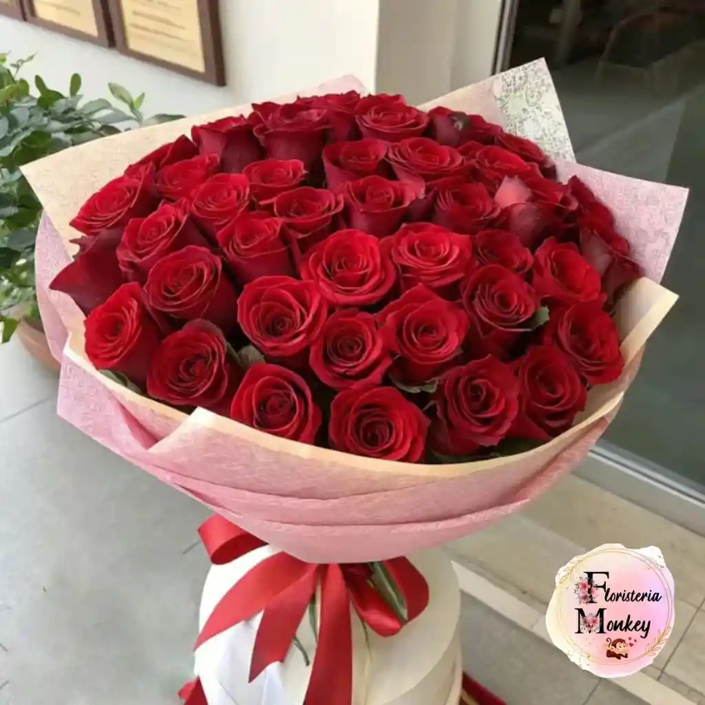 Rosa Roja X48