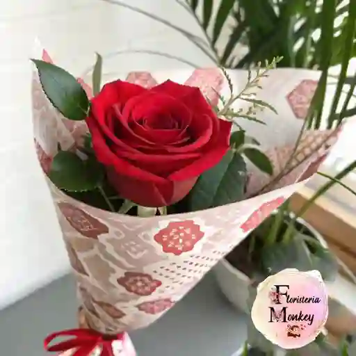 Rosa Roja X1