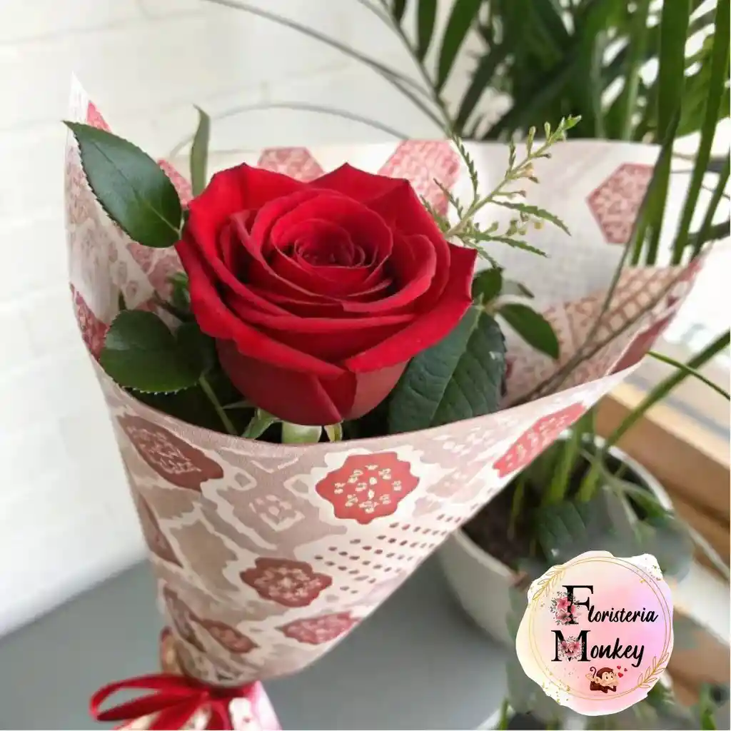 Rosa Roja X1
