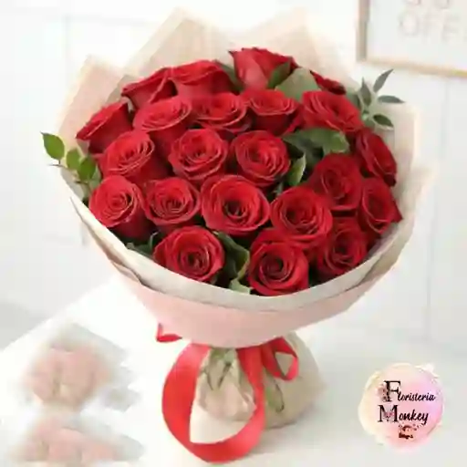 Rosa Roja X24