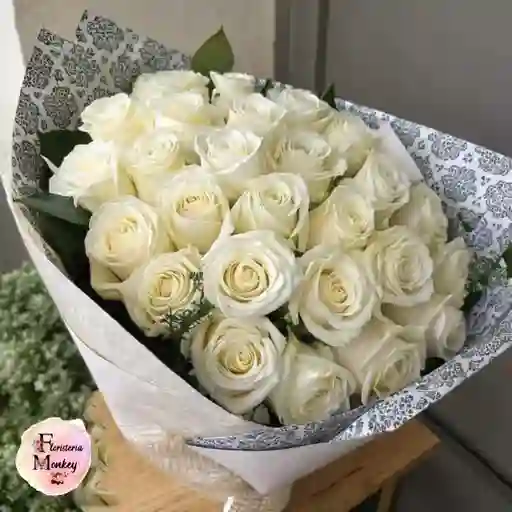 Rosa Blanca X48