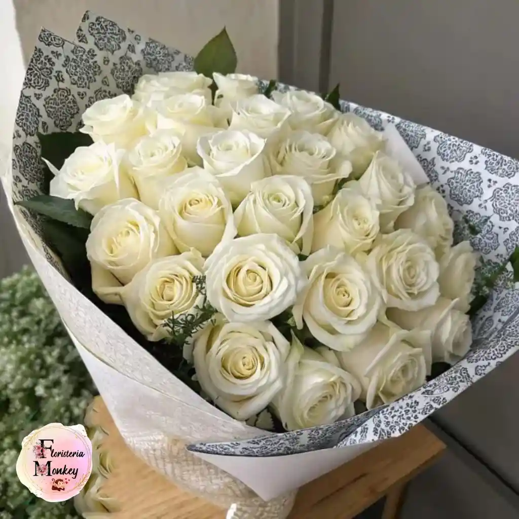 Rosa Blanca X48