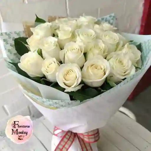 Rosa Blanca X24