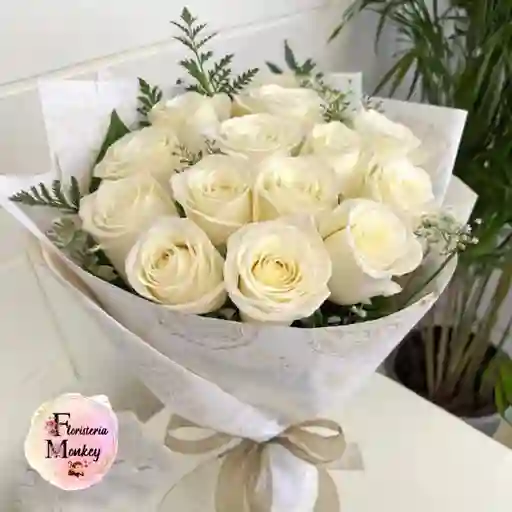 Rosa Blanca X12