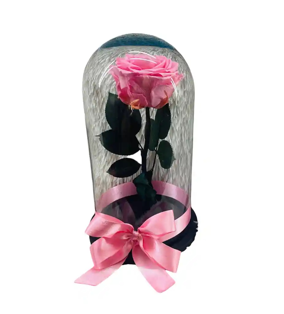 Rosa Preservada Rosada