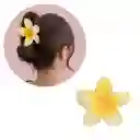 Pinza Caimán Gancho Flor Hawaiana Pelo Cabello