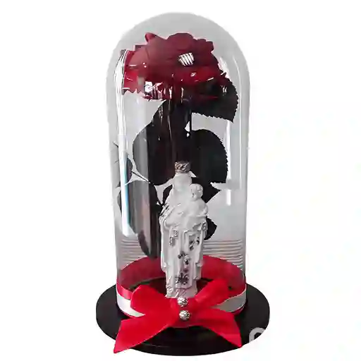 Rosa Preservada Con Imagen De Virgen