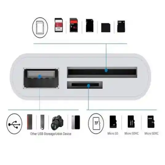 Cable Convertidor De Imagen – Diseño Conejo Y Conexión Inalámbrica