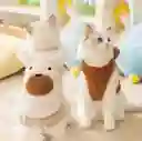 Saco Para Mascota (talla S)
