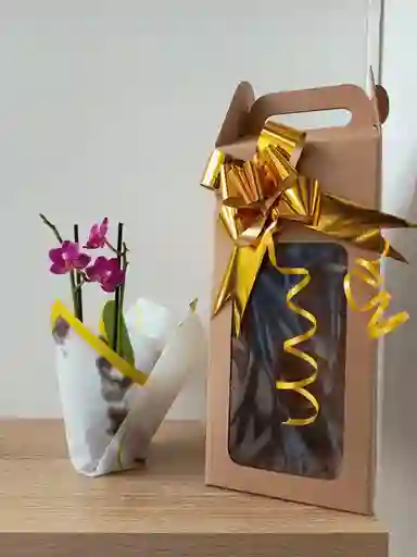 Orquidea Mini-morada Intensa X2tallos