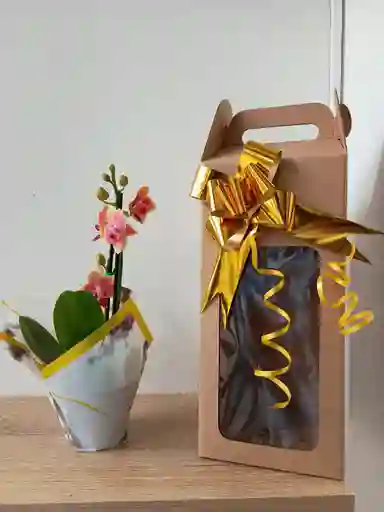 Orquidea Mini-amarilla Con Vetas Fucsias X2 Tallos