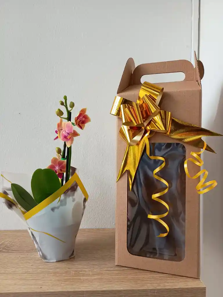 Orquidea Mini-amarilla Con Vetas Fucsias X2 Tallos