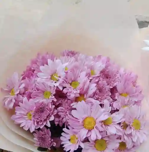 Bouquet De Margaritas