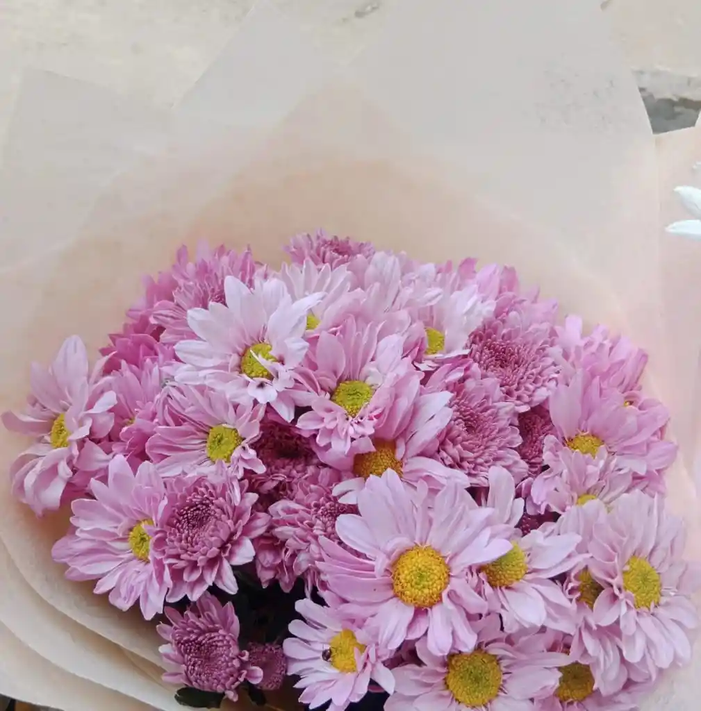 Bouquet De Margaritas