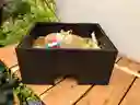 Desayuno Sorpresa-detalle Caja Mesa