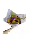Buquet Coreano Estatis