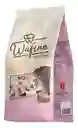 Mini Cono Wafino Chocolate Y Café 550 Gr