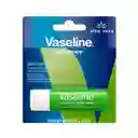 Vaseline Lip Therapy En Barra Aloe Vera 4.8g
