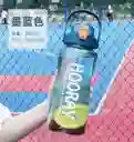 Botilito De 2 Litros