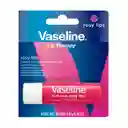 Vaseline Lip Therapy Rosy Lips 4.8g