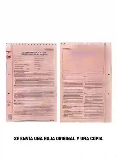 Contrato Individual De Trabajo Trabajadores De Servicio Domestico