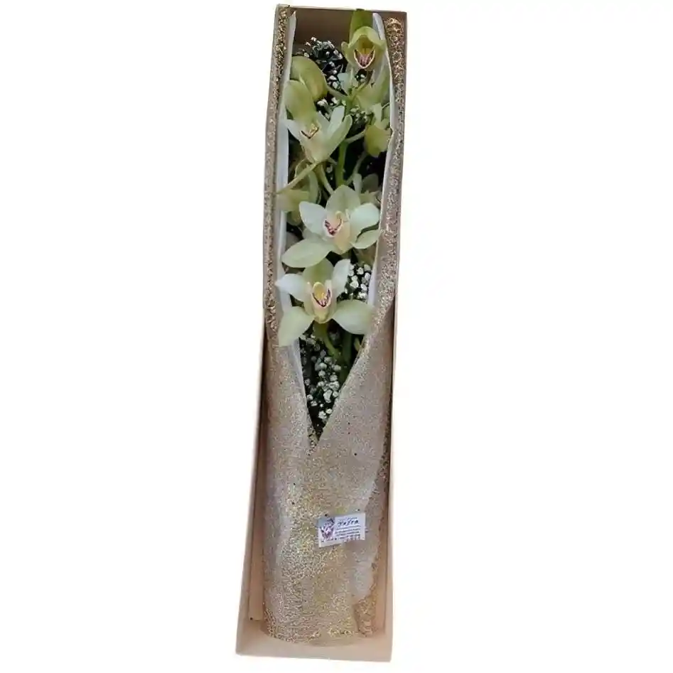 Caja Con Vara De Orquídea Cimbidium