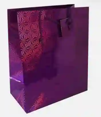 Bolsa De Regalo Metalizada Primavera Holograma Fucsia Talla M Medida 18 Cm Alto * 23 Cm Ancho