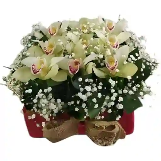 Caja Tapizada De Orquídeas Cimbidium