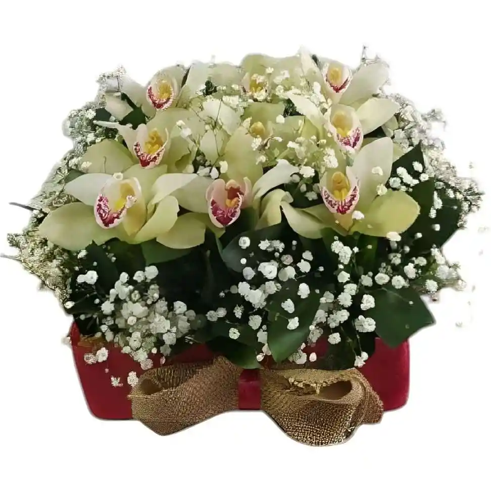 Caja Tapizada De Orquídeas Cimbidium